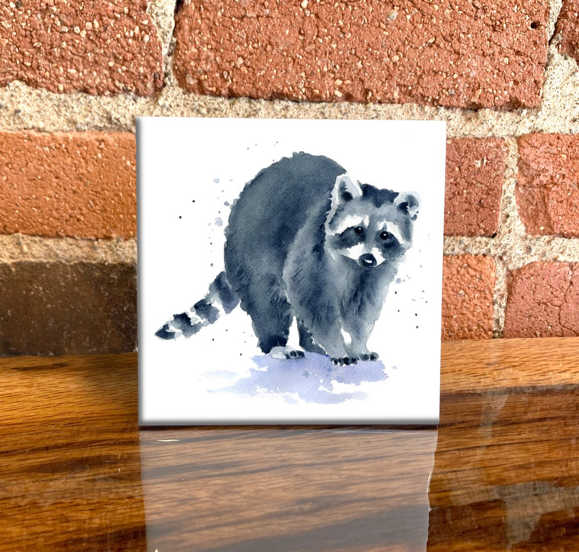 Raccoon Decorative Tile Art Print, Wildlife Accent