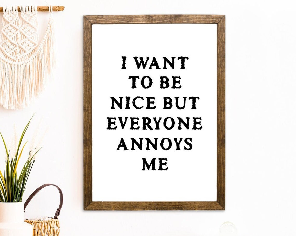 I Want To Be Nice But Everyone Annoys Me Funny Sassy Quote Sign Poster