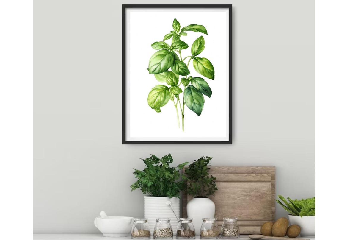 Fresh Basil Sprigs Botanical Watercolor Kitchen Herb Wall Poster - Image 3