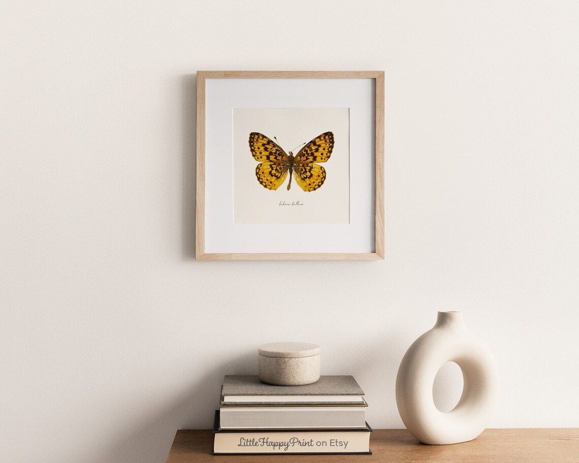 Vintage Yellow Black Butterfly Botanical Illustration Art Poster