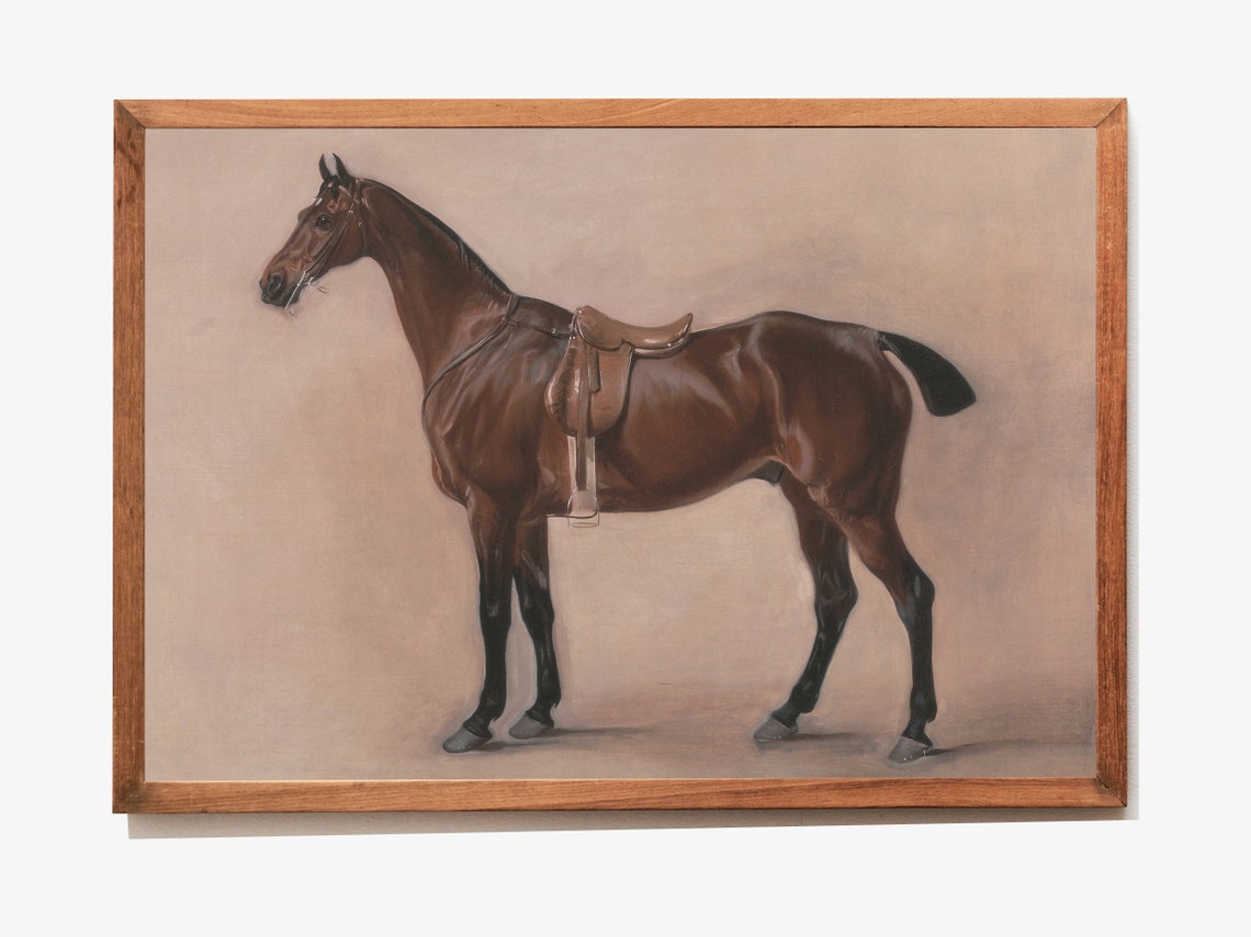 Saddled Bay Horse Studio Portrait Vintage Equestrian Art Poster - Image 3