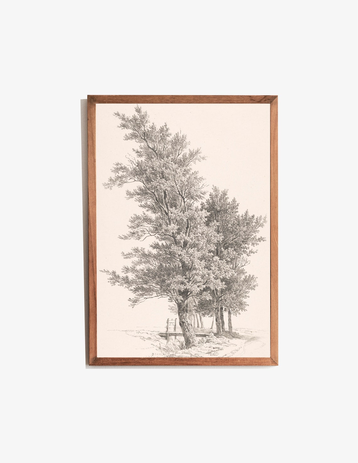 Sketches Of Trees Vintage Tree Drawings Rustic Home Decor Prints Wall Art - Image 3