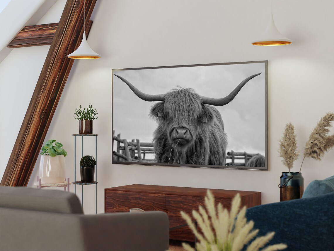 Highland Cow Black And White Long Horns Portrait Farmhouse Photo Print - Image 2