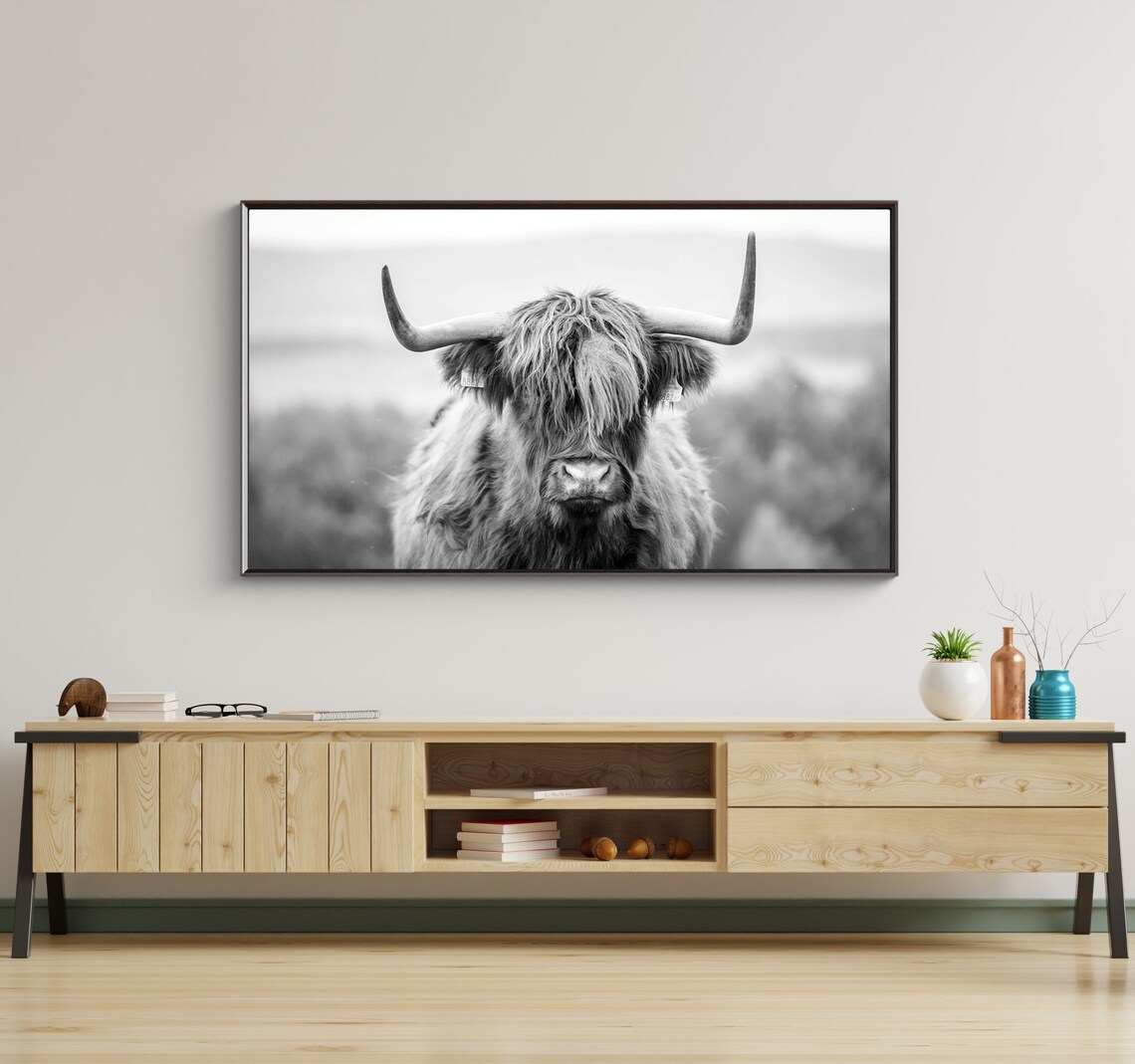 Highland Cow Photo Art for TV, Farm Animal Print - Image 4
