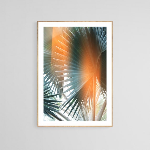 Palm Tree Photograph, Tropical Art Print