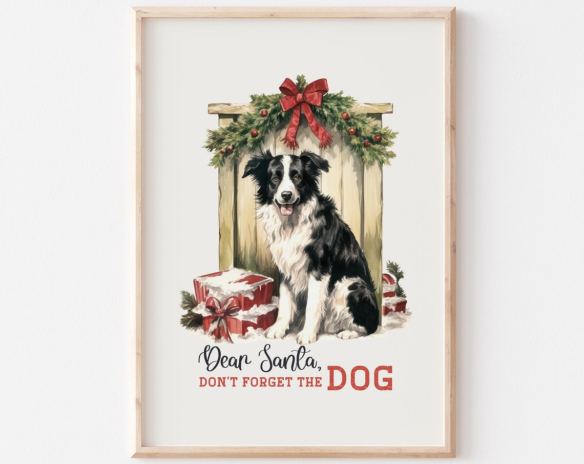 Dear Santa Don't Forget The Dog Border Collie Christmas Poster