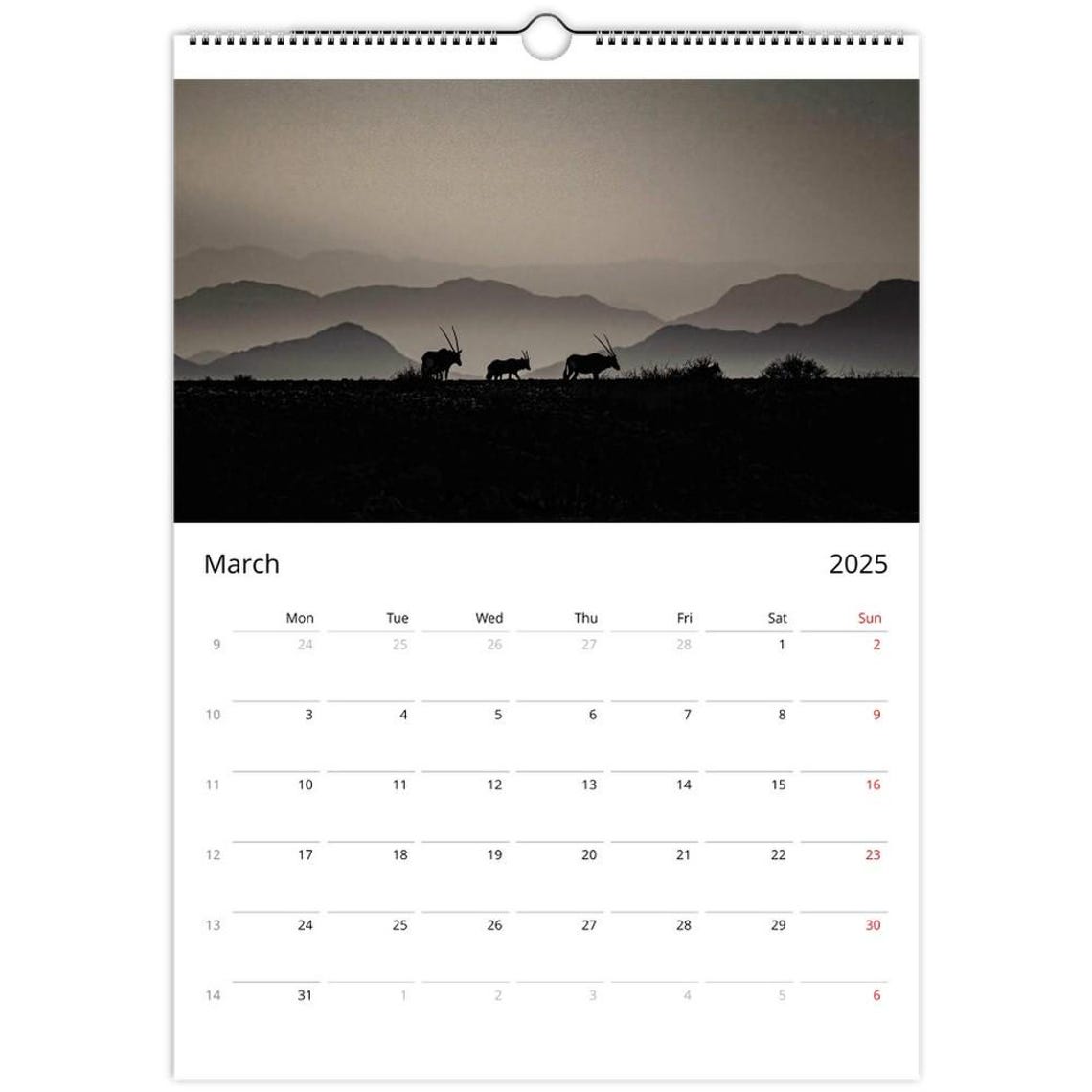 Namibia Giraffe Herd Safari Wall Calendar African Photography Print - Image 5