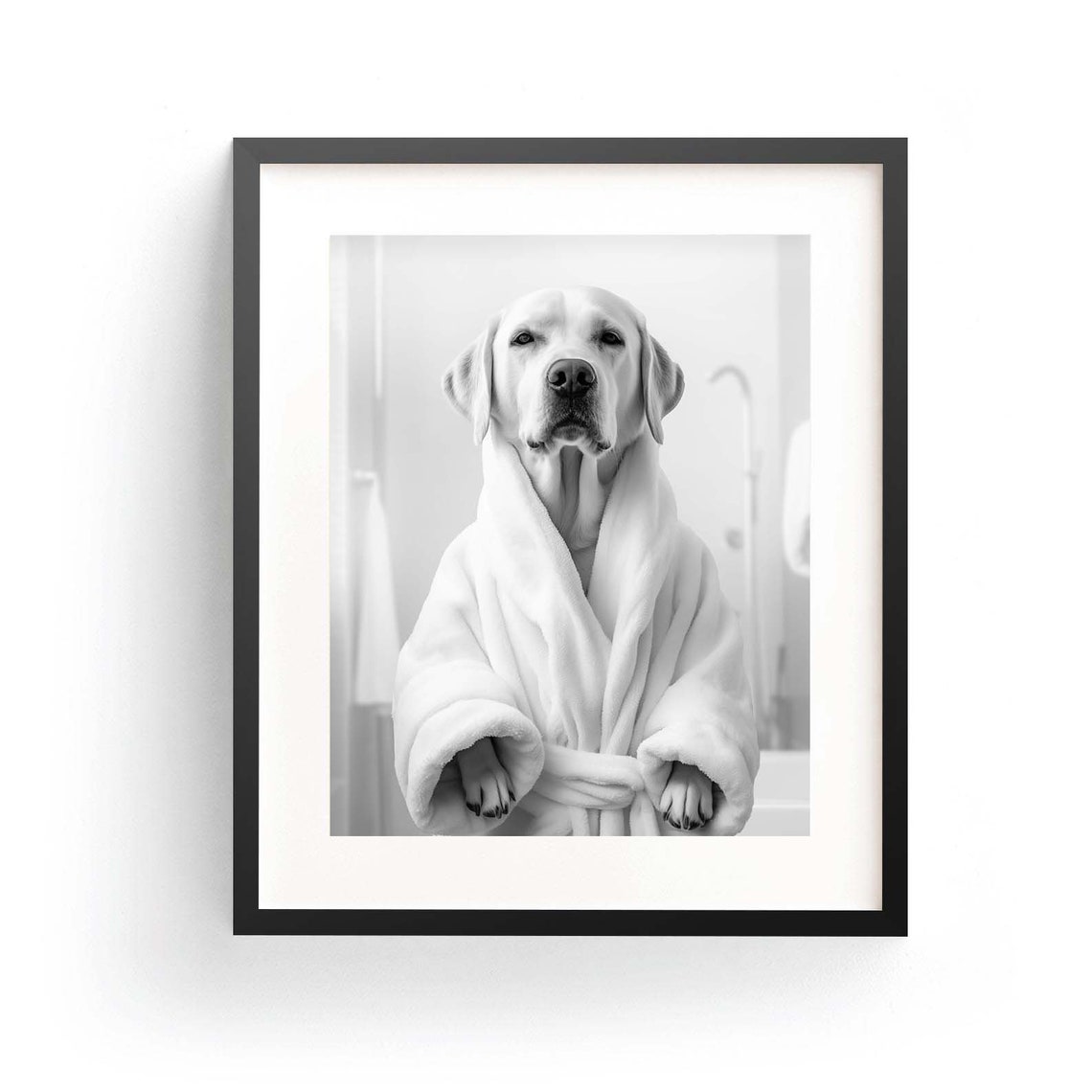 Labrador Retriever In White Bathrobe Black White Funny Dog Poster