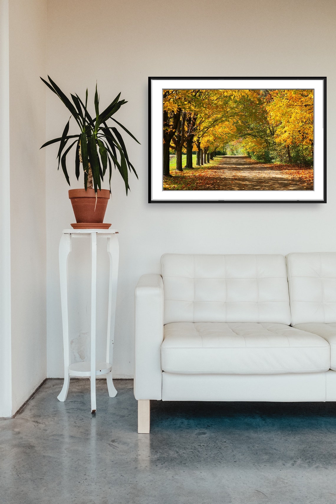Golden Maple Tree Lined Autumn Lane with Fallen Leaves Photo Poster - Image 5