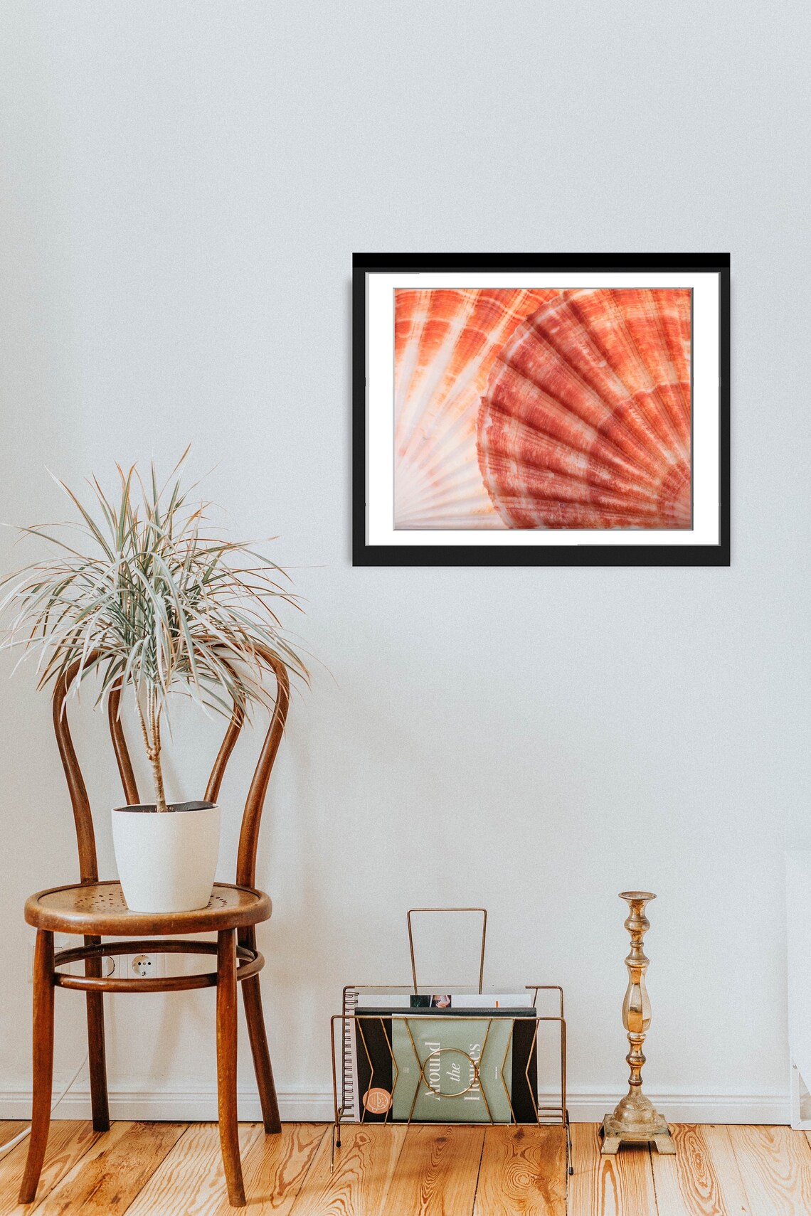 Seashells Photo, Ocean Vacation Seashore Image - Image 2
