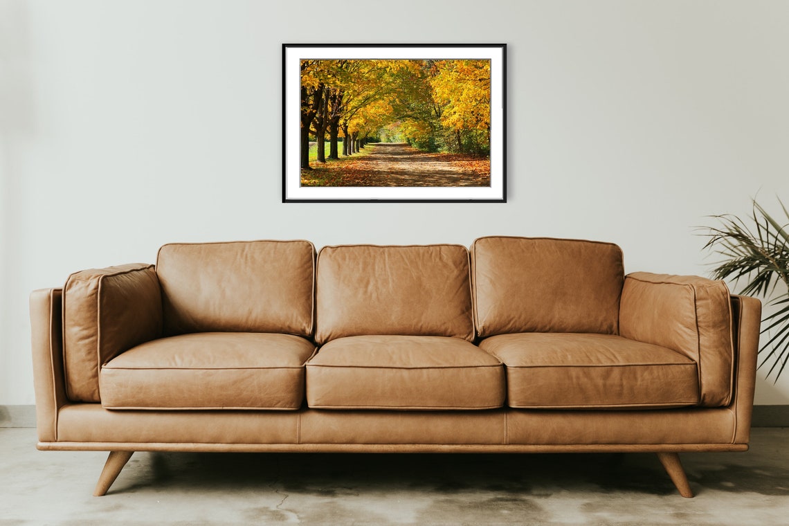 Golden Maple Tree Lined Autumn Lane with Fallen Leaves Photo Poster - Image 2