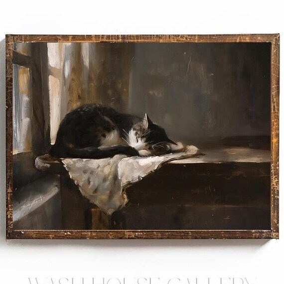 Black and White Cat Sleeping on a Windowsill by a Curtain Poster