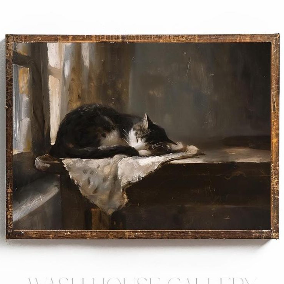Black and White Cat Sleeping on a Windowsill by a Curtain Poster