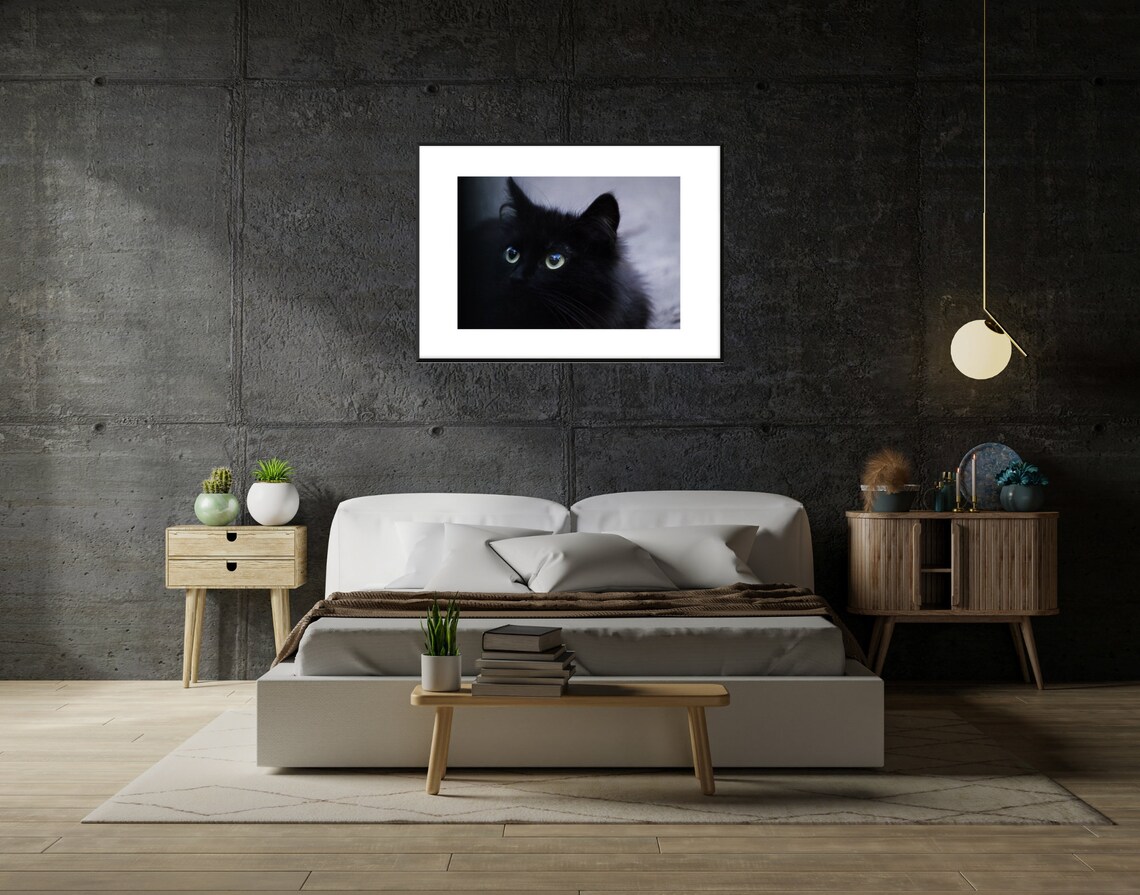 Fluffy Black Cat with Green Eyes Moody Pet Photography Wall Art - Image 2