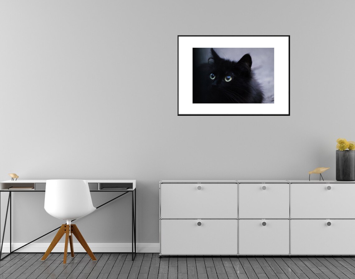 Fluffy Black Cat with Green Eyes Moody Pet Photography Wall Art - Image 3