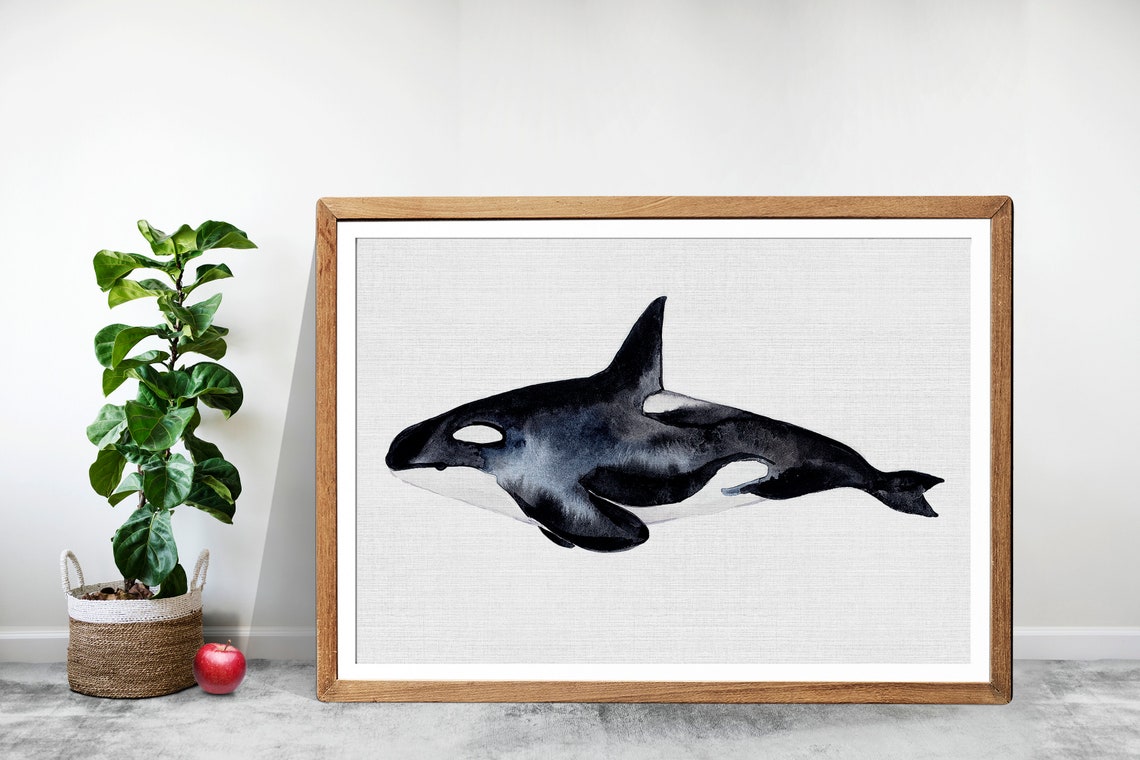 Orca Watercolor Whale Art Print, Whale Nursery - Image 3