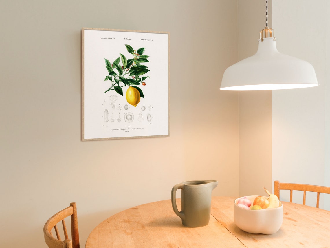 Lemon Botanical Vintage Kitchen Wall Art Print - Image 2