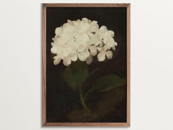 White Hydrangea, Dark Academia Botanical Art Print