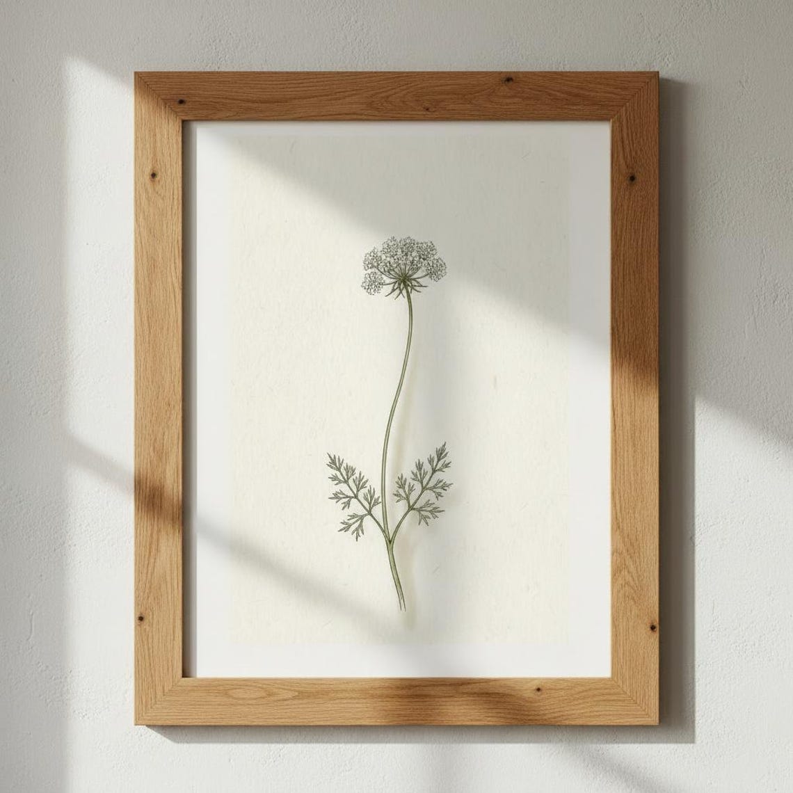 Queen Annes Lace Botanical Print Minimalist Wildflower Poster
