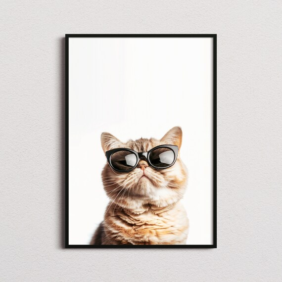 Orange Persian Cat in Black Sunglasses Cute Feline Portrait Poster