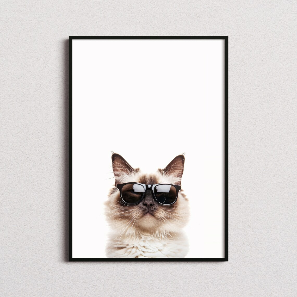 Ragdoll Cat in Sunglasses Funny Cat Art Print