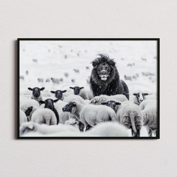 Lion Among Sheep Black And White Art Print