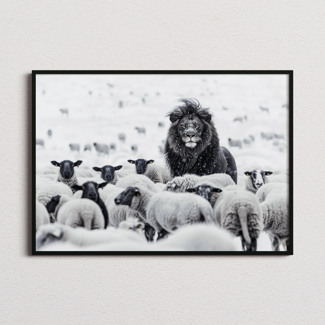 Lion Among Sheep Black And White Art Print