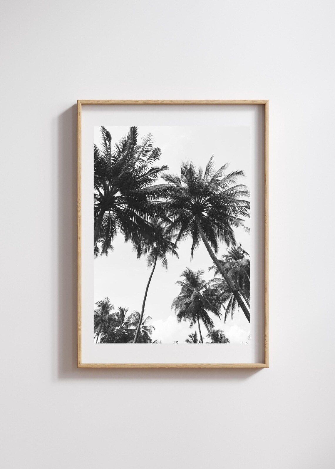 Black and White Palm Trees Against the Sky Photography Art Poster