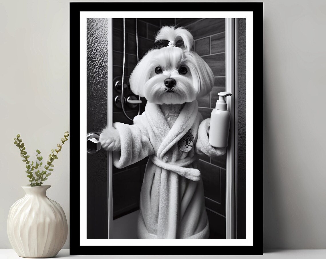 Maltese Terrier Wall Art Bathroom Print Photo Gift Funny Decor