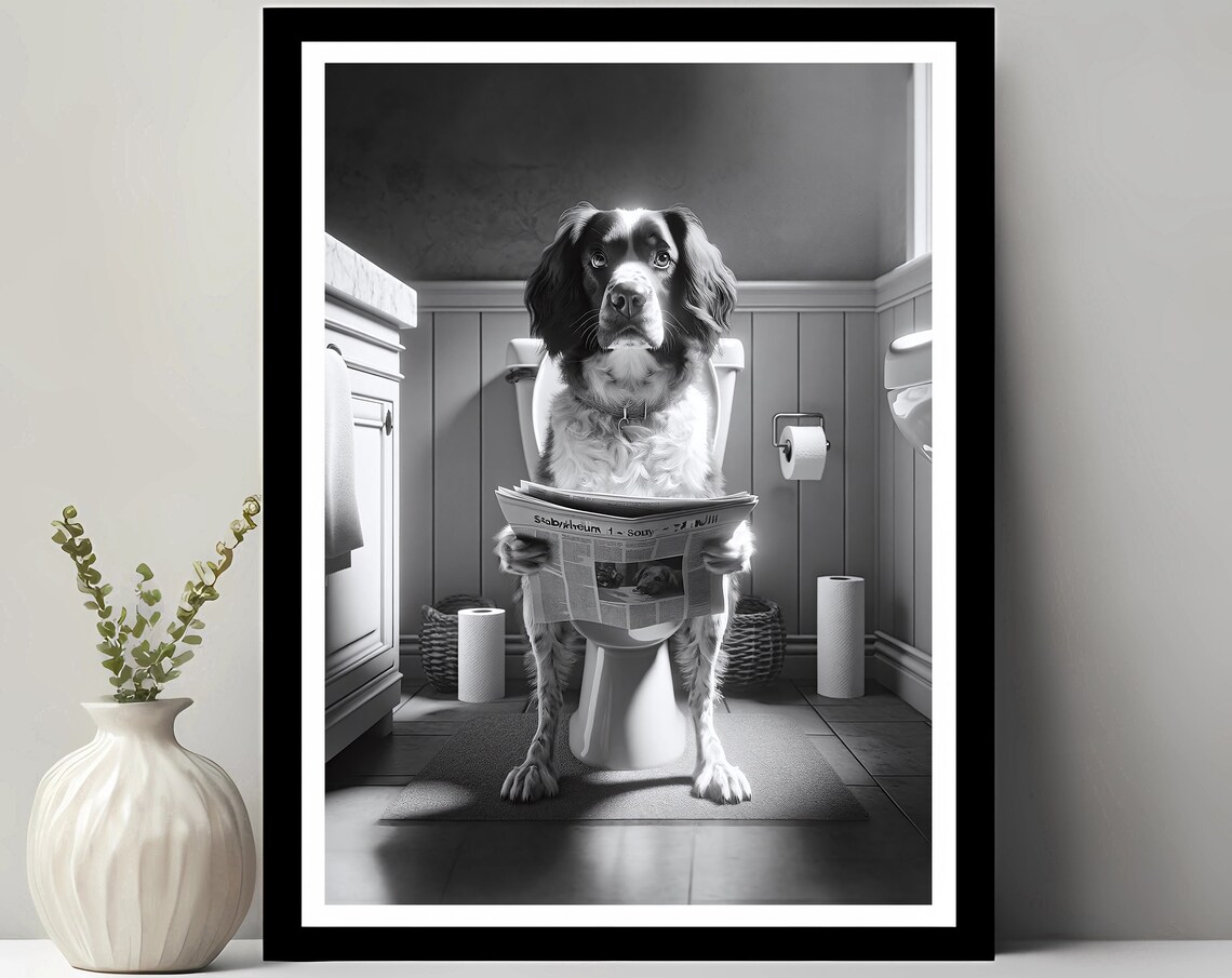 Stabyhoun Dog on Toilet Reading Newspaper Funny Bathroom Poster