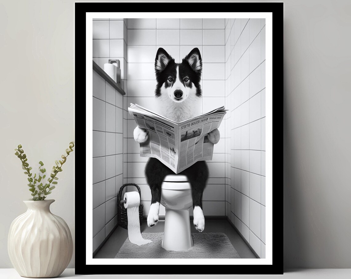 Border Collie Dog Reading Newspaper on Toilet Funny Bathroom Poster