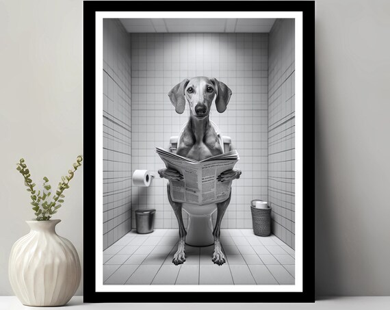 Old Croatian Sighthound Wall Art Funny Bathroom Decor Dog In Toilet Animal Petshop