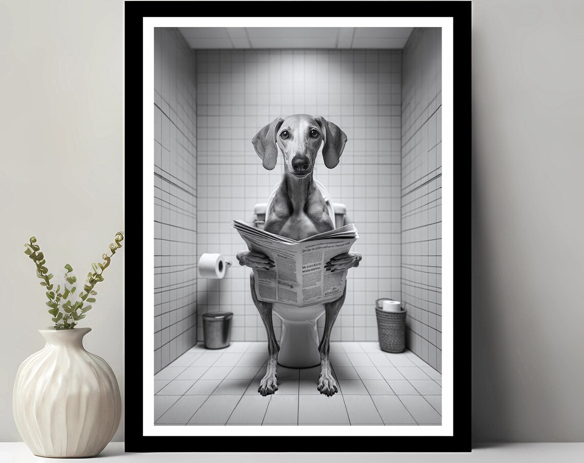 Italian Greyhound Reading Newspaper on Toilet Funny Dog Poster