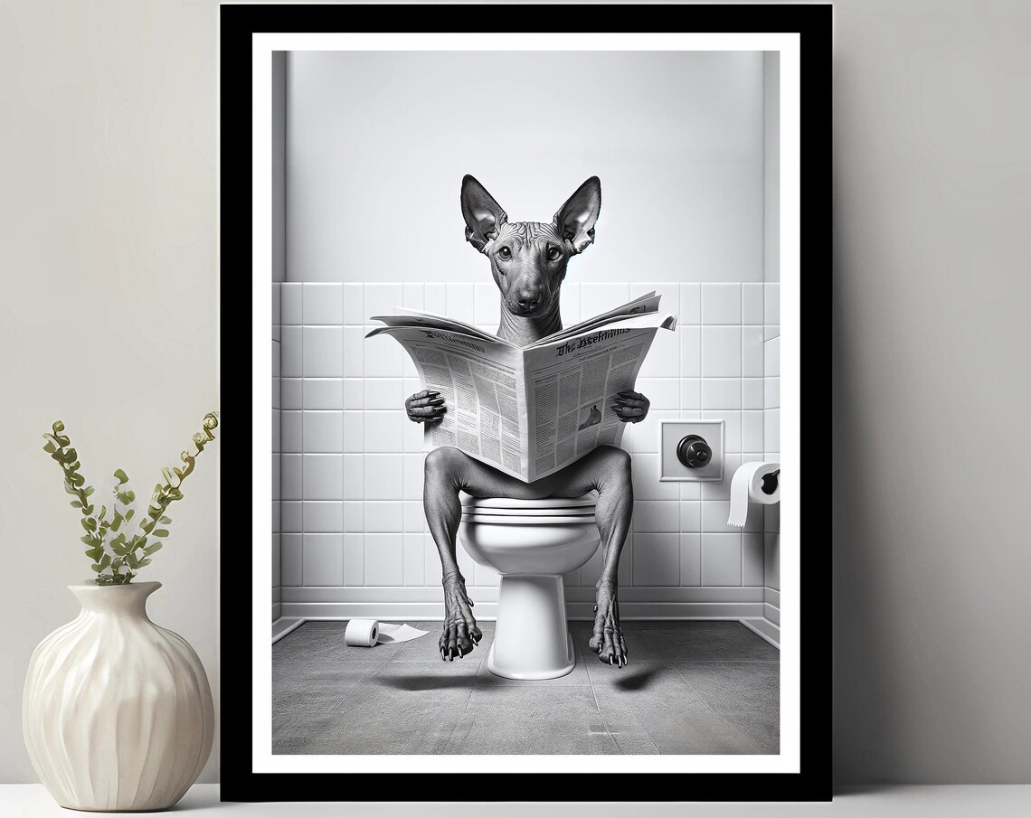 Hairless Terrier in Toilet, Dog Pet Shop Art Print