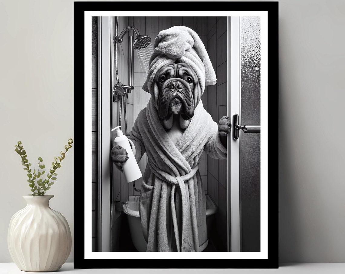 Funny Bullmastiff in Bathrobe Shower Bathroom Black White Poster