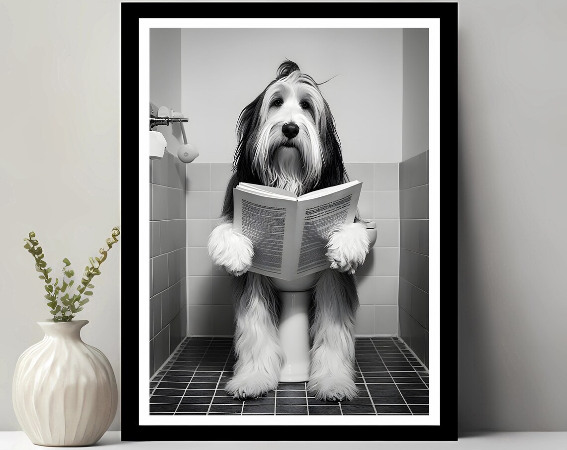 Bearded Collie Funny Bathroom Dog Art Print