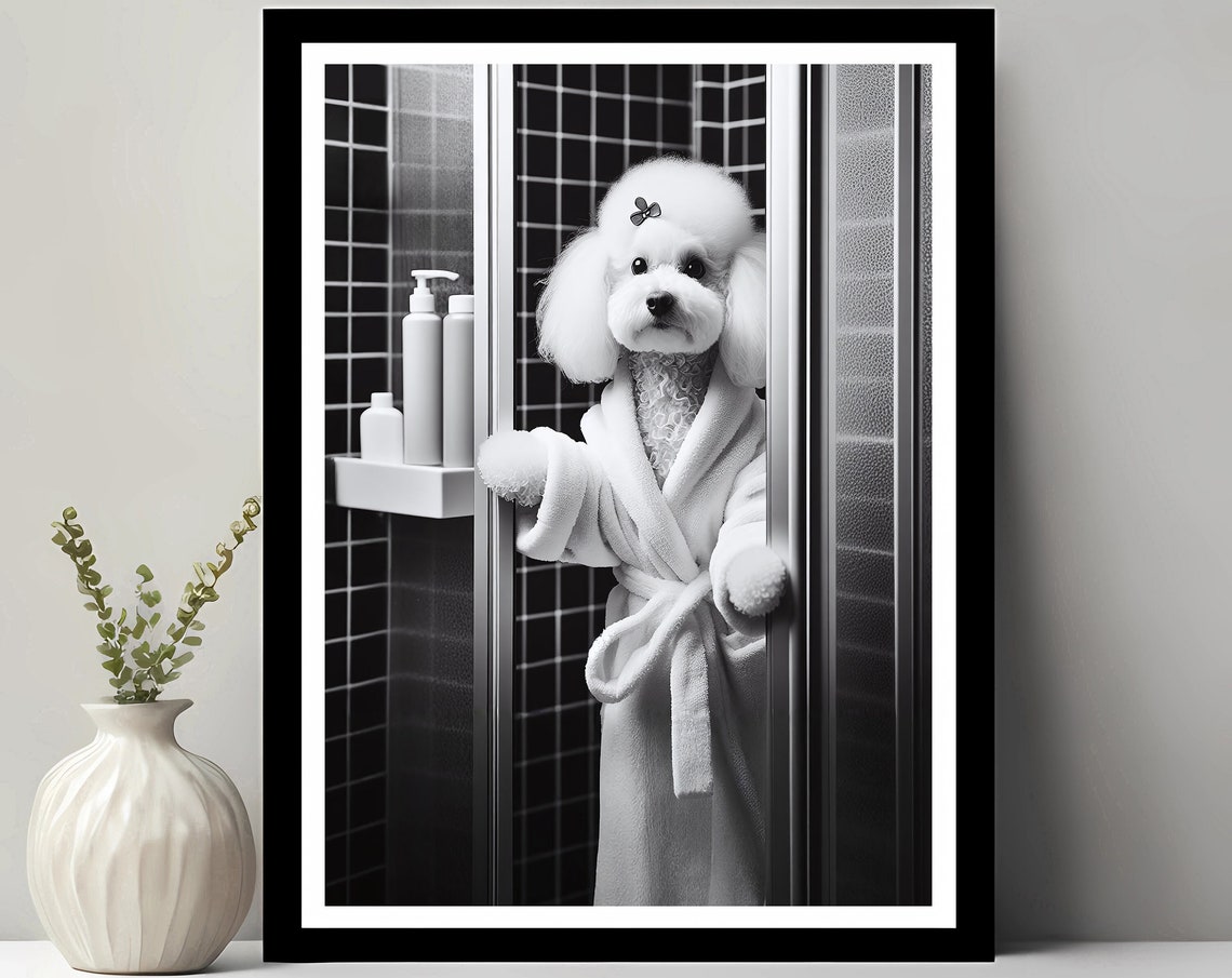 Poodle In A Bathrobe Stepping Out Of The Shower Chic Wall Art