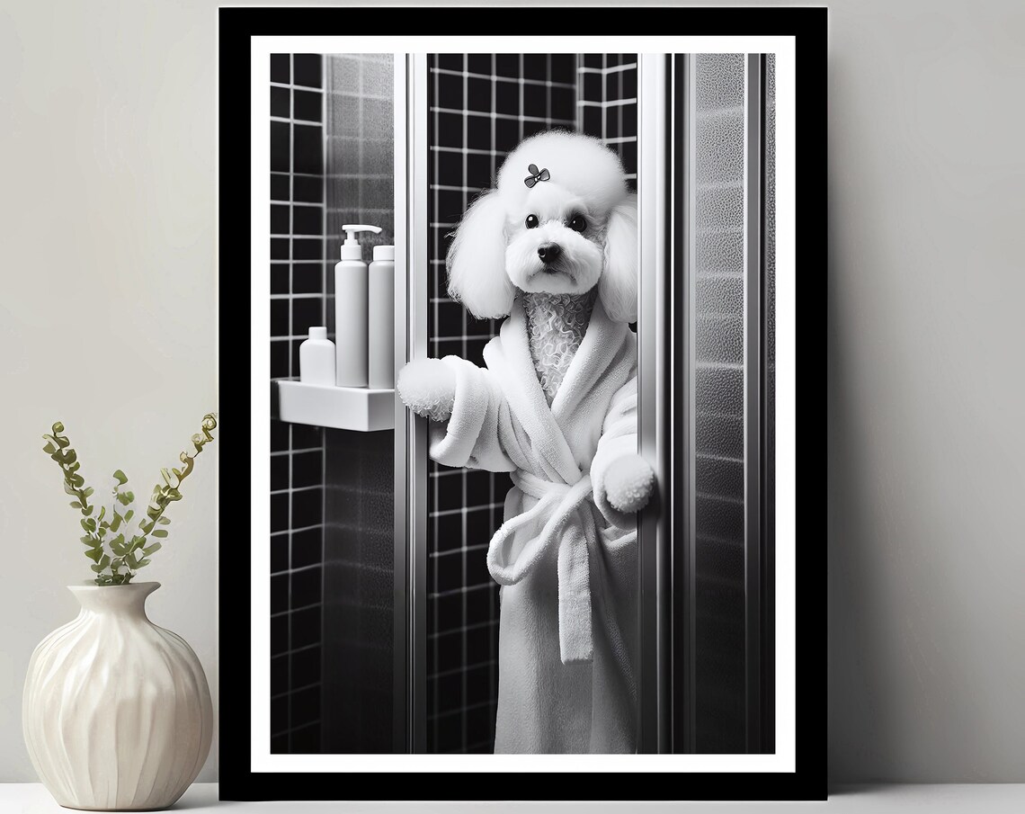 Poodle Wall Art Bathroom Print Photo Gift Funny Decor
