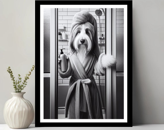 Bearded Collie Wall Art Bathroom Print Photo Funny Decor