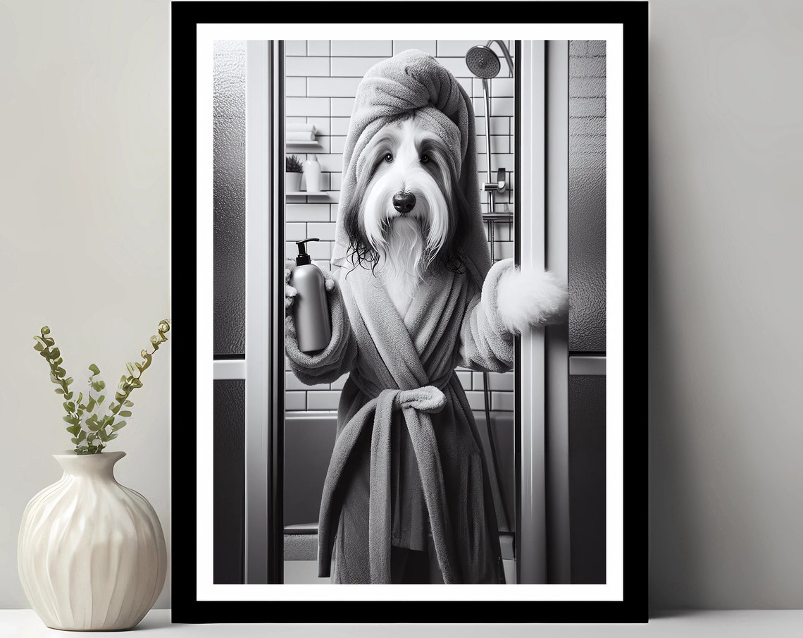 Bearded Collie Wall Art Bathroom Print Photo Funny Decor