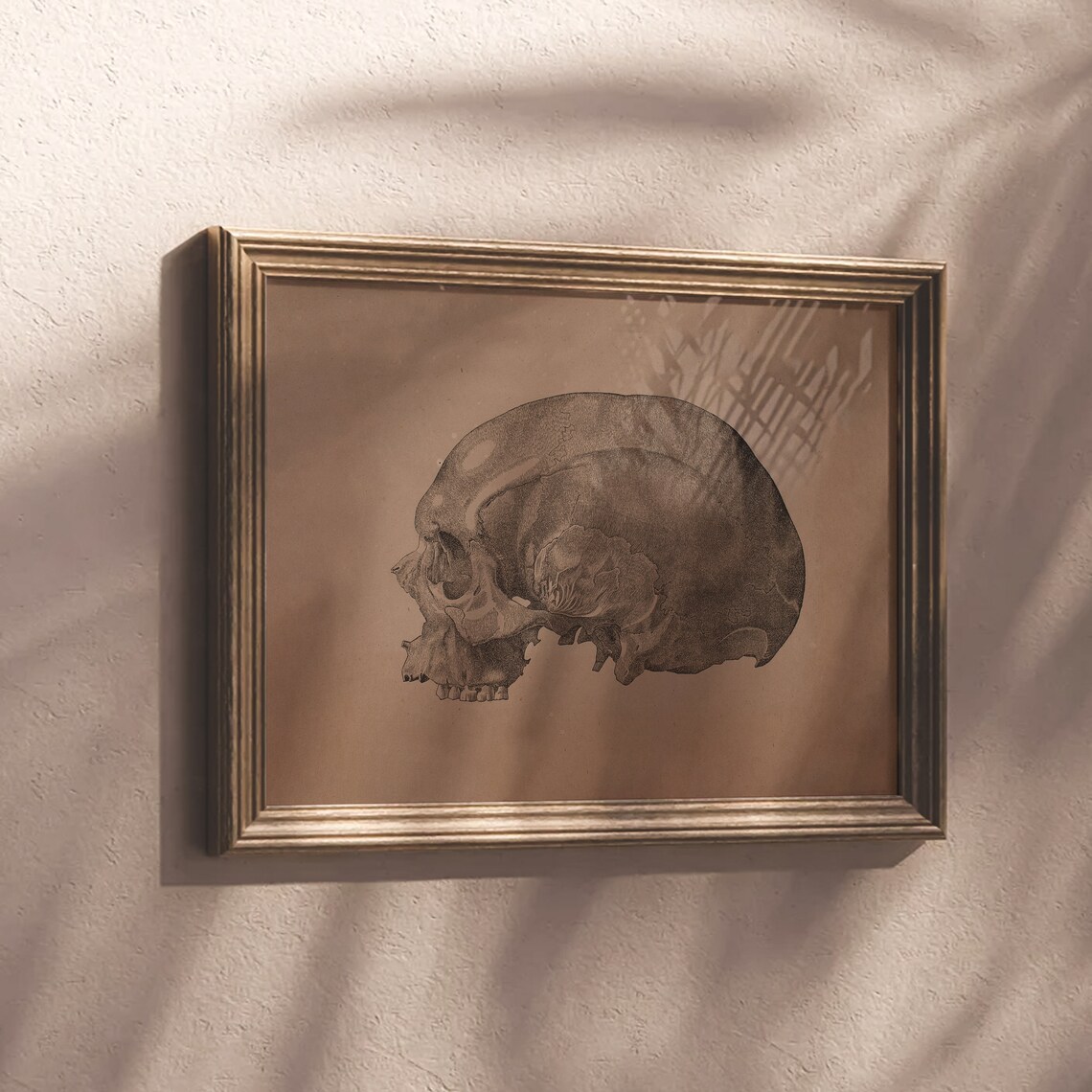 Vintage Skull Anatomy Sketch Sepia Medical Illustration Poster - Image 4