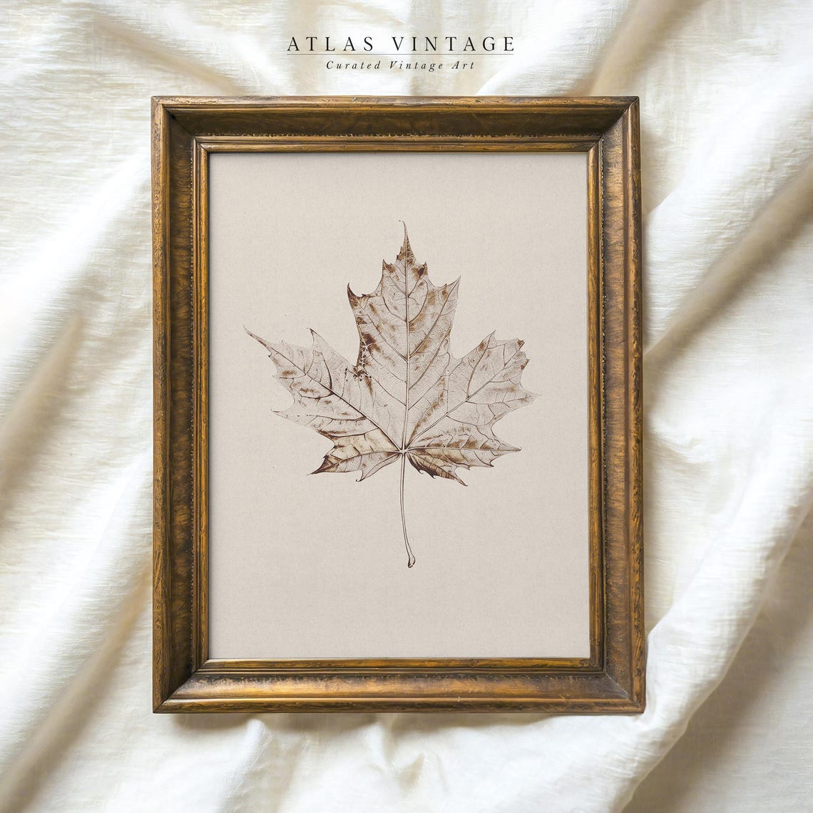 Pressed Maple Leaf Botanical Sketch Neutral Autumn Wall Poster