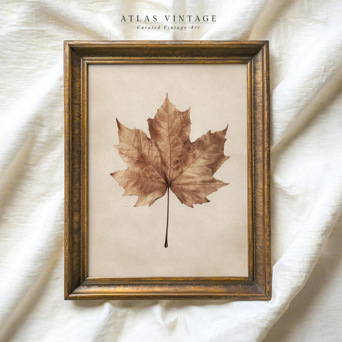 Pressed Brown Maple Leaf Simple Botanical Neutral Beige Fall Poster