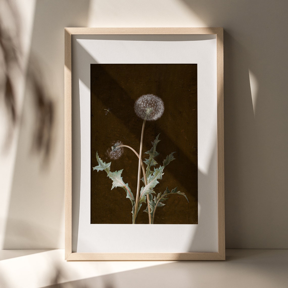 Dark Moody Dandelion Seed Botanical Vintage Style Dark Academia Poster - Image 4