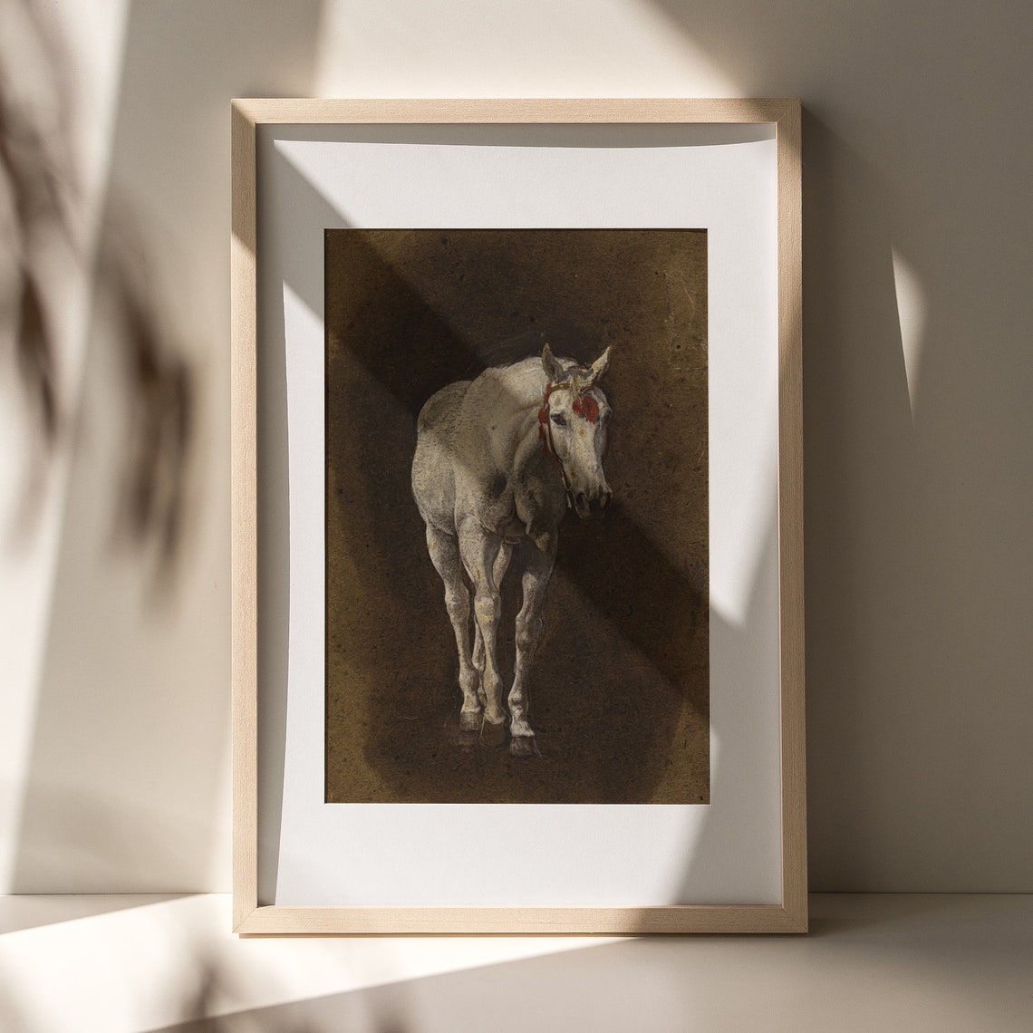 White Horse Portrait Dark Background Equestrian Horse Poster - Image 4