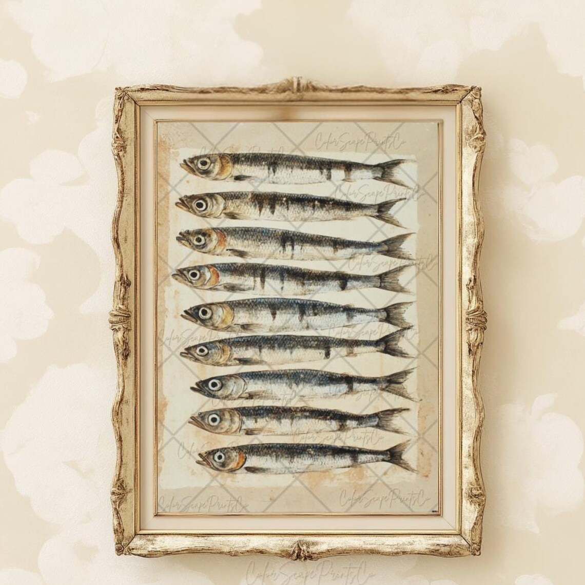 Vintage Sardine Fish School Natural History Illustration Art Poster