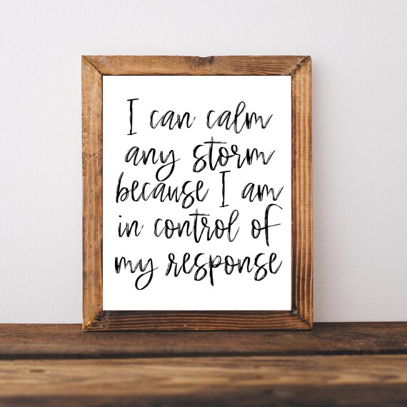 I Can Calm Any Storm Affirmation Poster for Therapist Office Decor