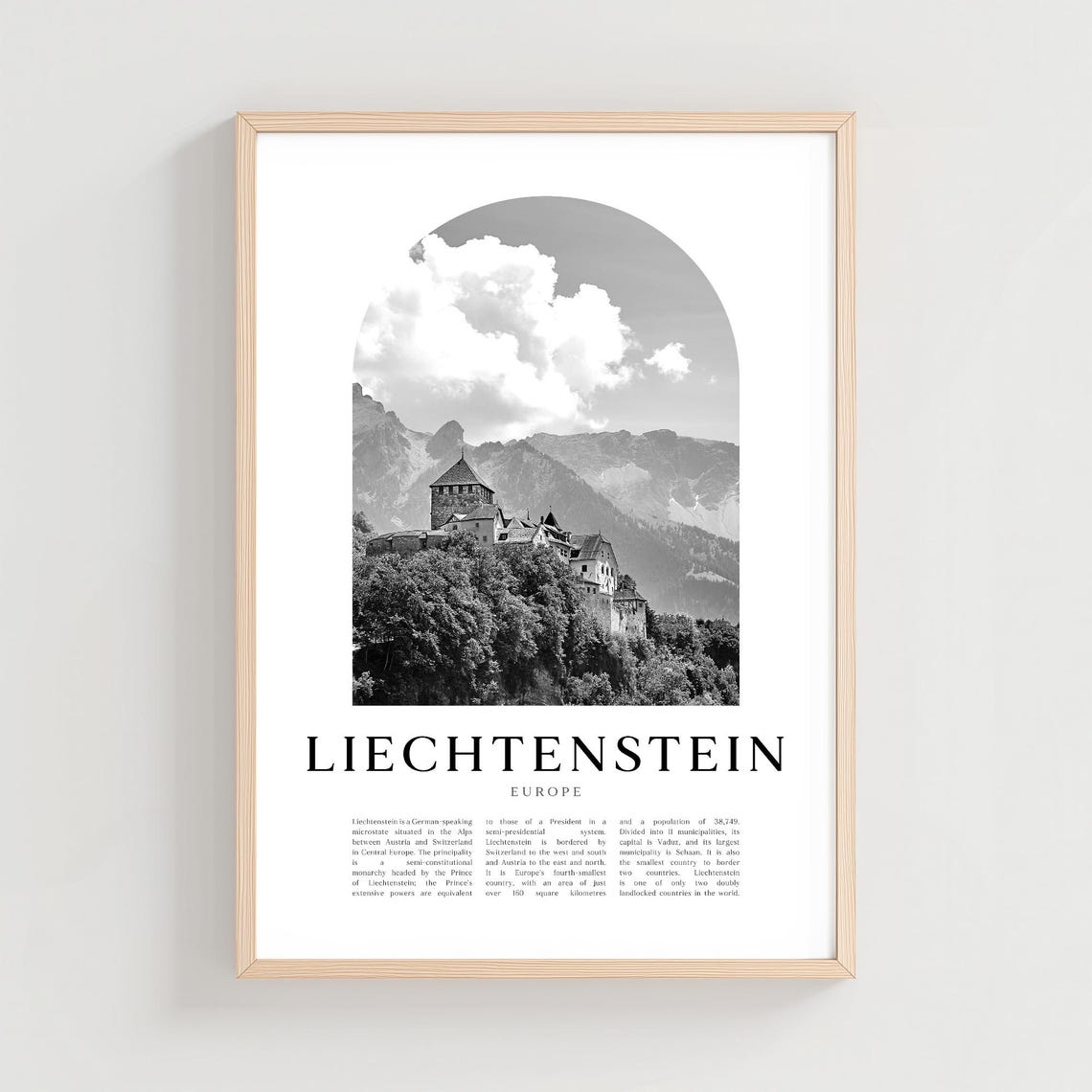 Liechtenstein Castle Black And White Arch Travel Photo Poster