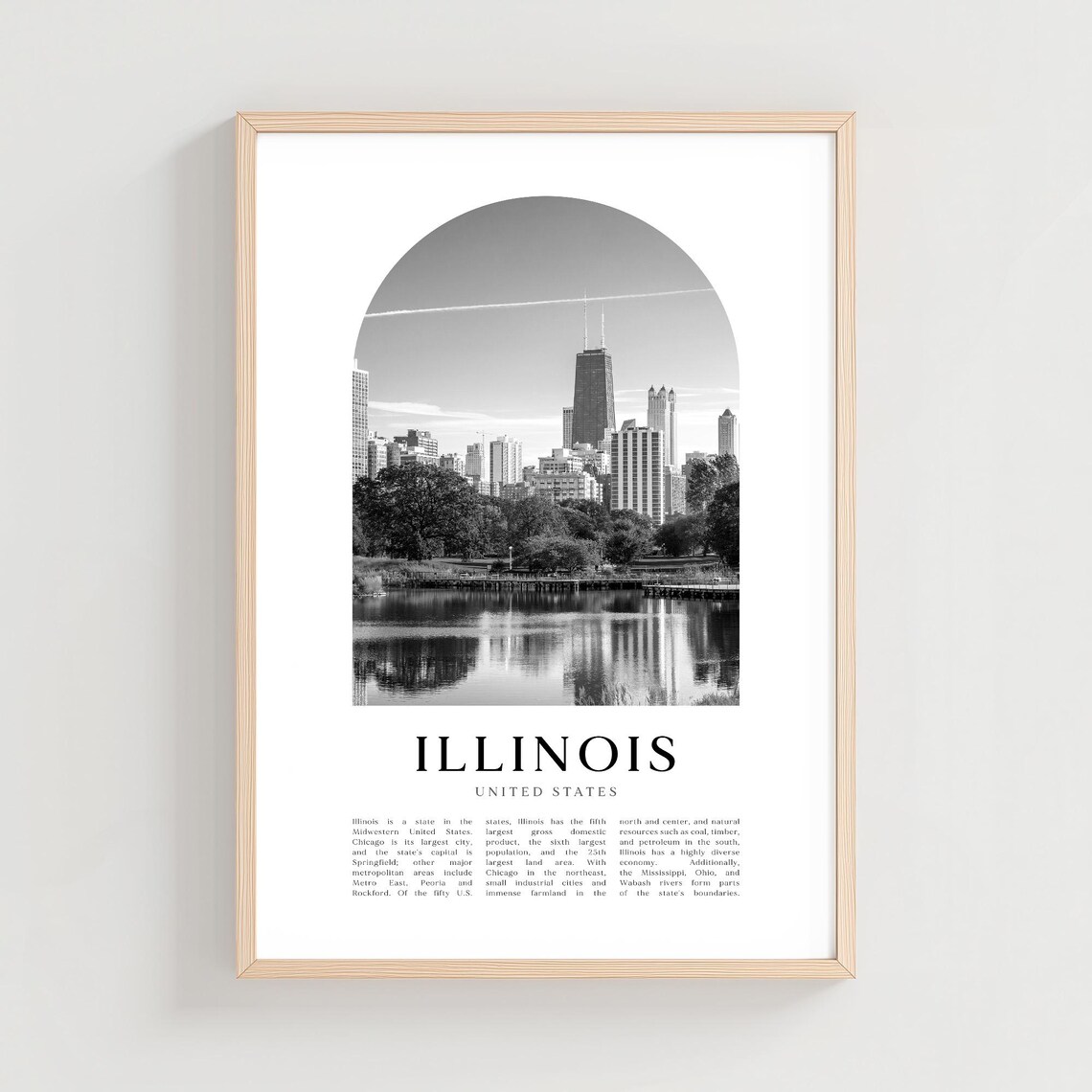 Illinois United States Chicago Downtown Skyline Arch Photo Poster