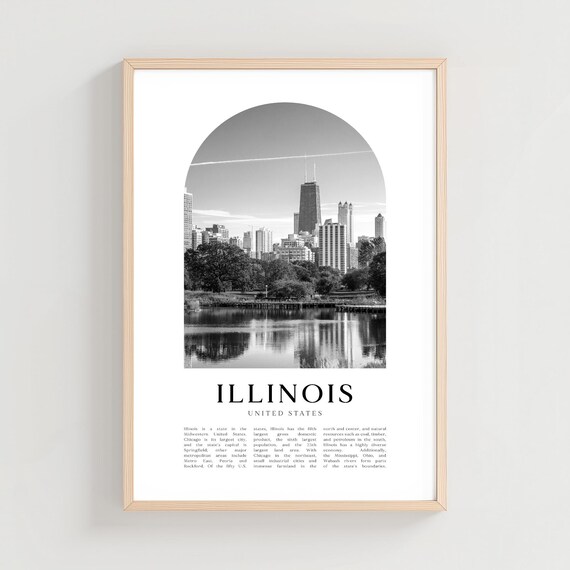 Illinois United States Chicago Downtown Skyline Arch Photo Poster